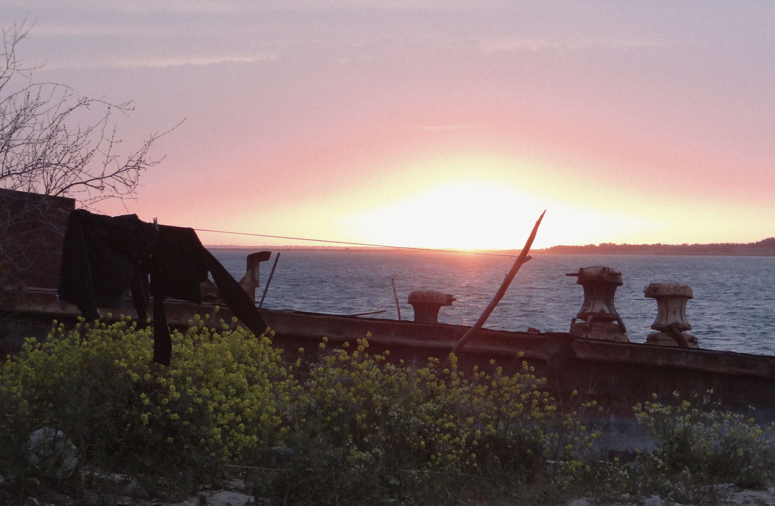 Unveiling Stories: Syrian Doc Days 2025 Program Release